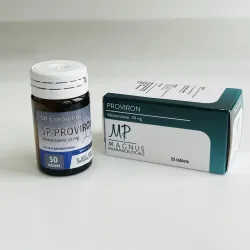 Провирон